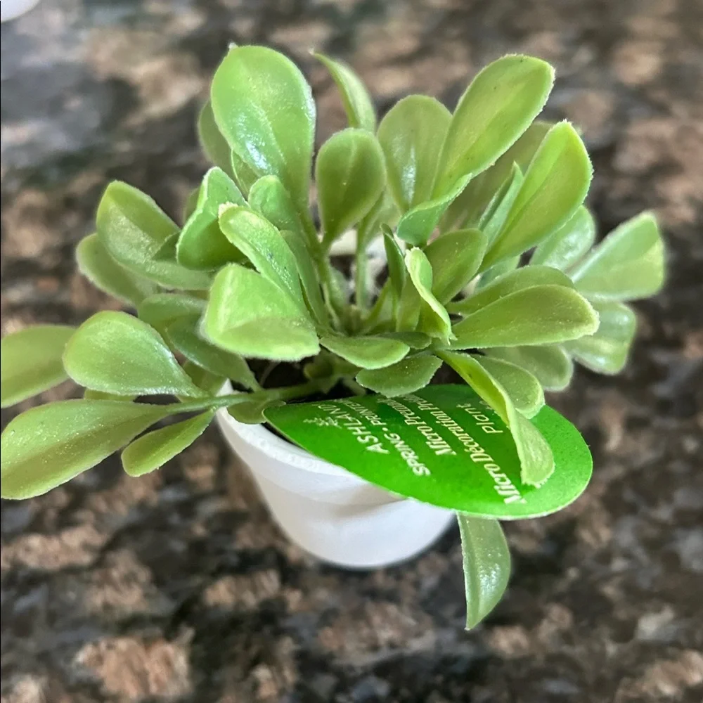 ASHLAND FAUX ASSORTED GREEN SUCCULENTS & MICRI PREMADE PLANTS LOT IF 6 NWT